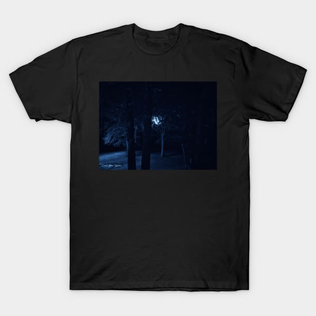 October Moon T-Shirt by davidbstudios